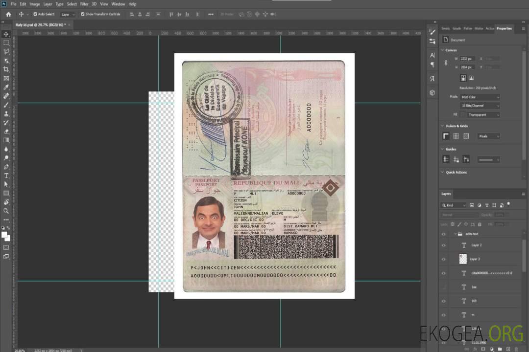 Passeport malien template Passeport malien template